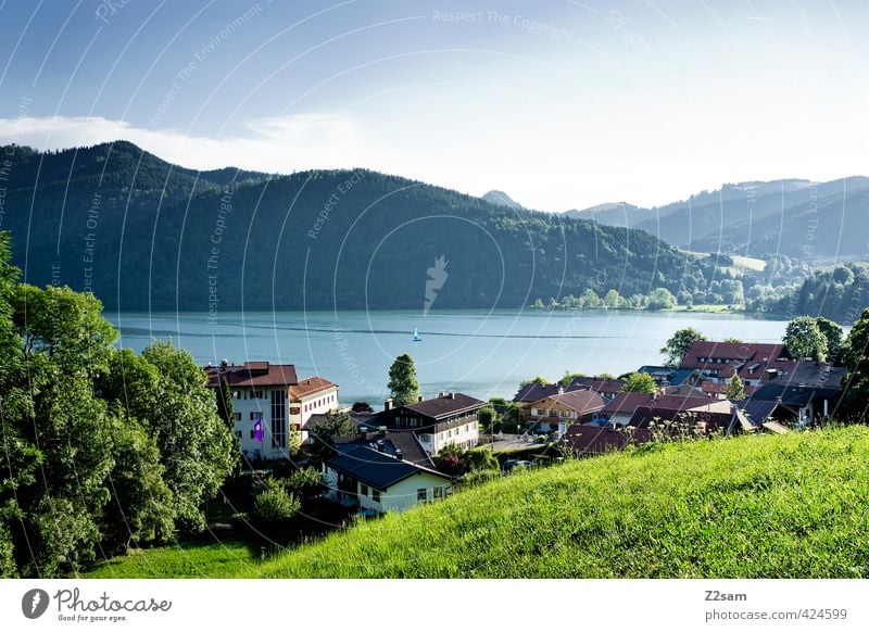 Schliersee Natur Landschaft Wolkenloser Himmel Sommer Schönes Wetter Wiese Alpen Berge u. Gebirge See Dorf Stadt Gebäude ästhetisch Ferne blau grün Gelassenheit