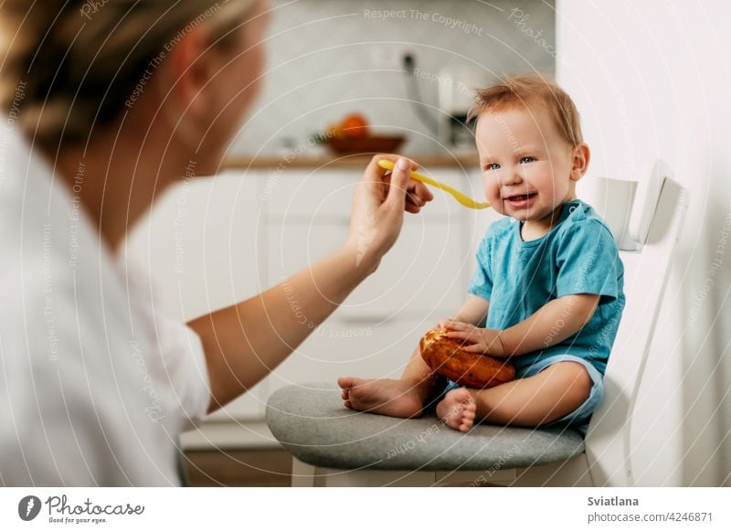 Mutter füttert ihren kleinen Sohn, der auf einem Stuhl in der Küche sitzt Baby füttern Sitzen hoch jung wenig Haferbrei Eltern Mama Lebensmittel Kleinkind