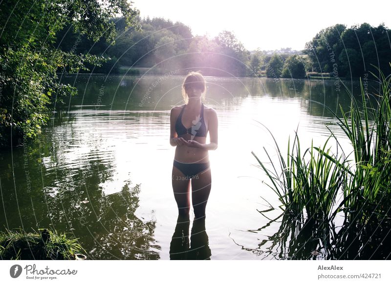 Neulich am Elfenteich schön Ferien & Urlaub & Reisen Ausflug Sonnenbad Badenixe Schwimmen & Baden Junge Frau Jugendliche 18-30 Jahre Erwachsene Natur