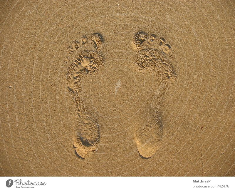 Füße im Sand Fußspur Meer Sommer Strand Zehen klein groß 2 gehen stehen Mann Zusammensein Mensch Küste sand fuß prägung Sonne laufen sitzen Partner paarweise