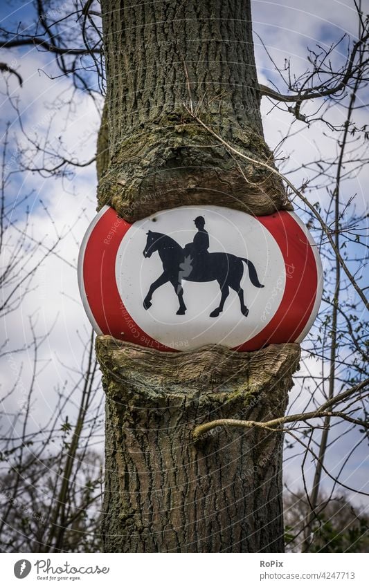 Der Baum scheint Hunger zu haben. Mitteilung Privat Nachricht Schild Brett antik Mauer Schrift befugt unbefugt schwarz alt Holz Symbol gesperrt Efeu Zutritt