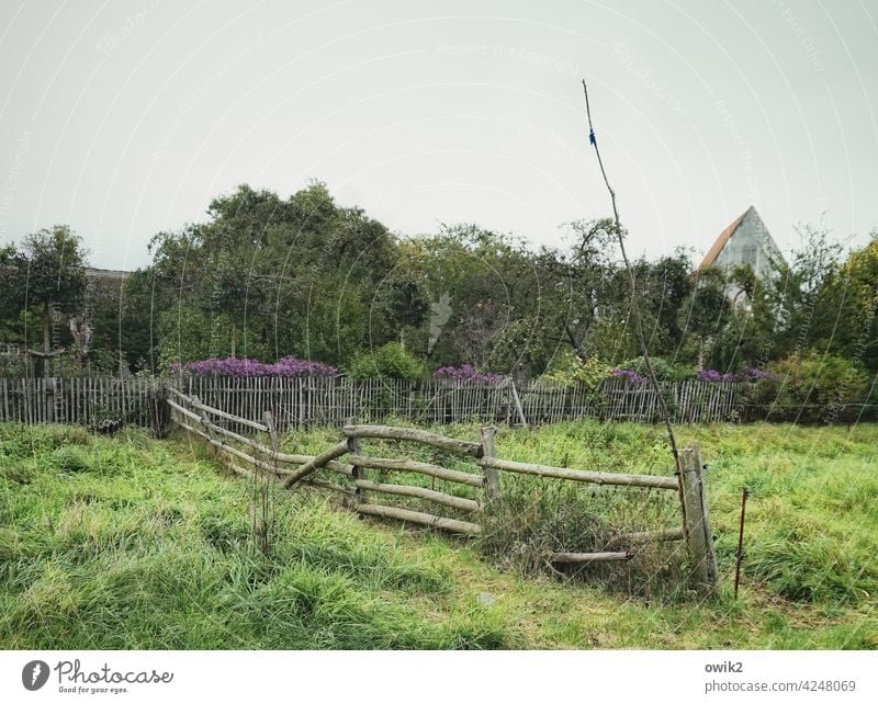 Altes Gebälk Weide Koppel Wiese Zaun Holz Barriere Gatter Begrenzung Schutz Idylle friedlich Sträucher Bäume Abend Außenaufnahme Farbfoto Natur Menschenleer