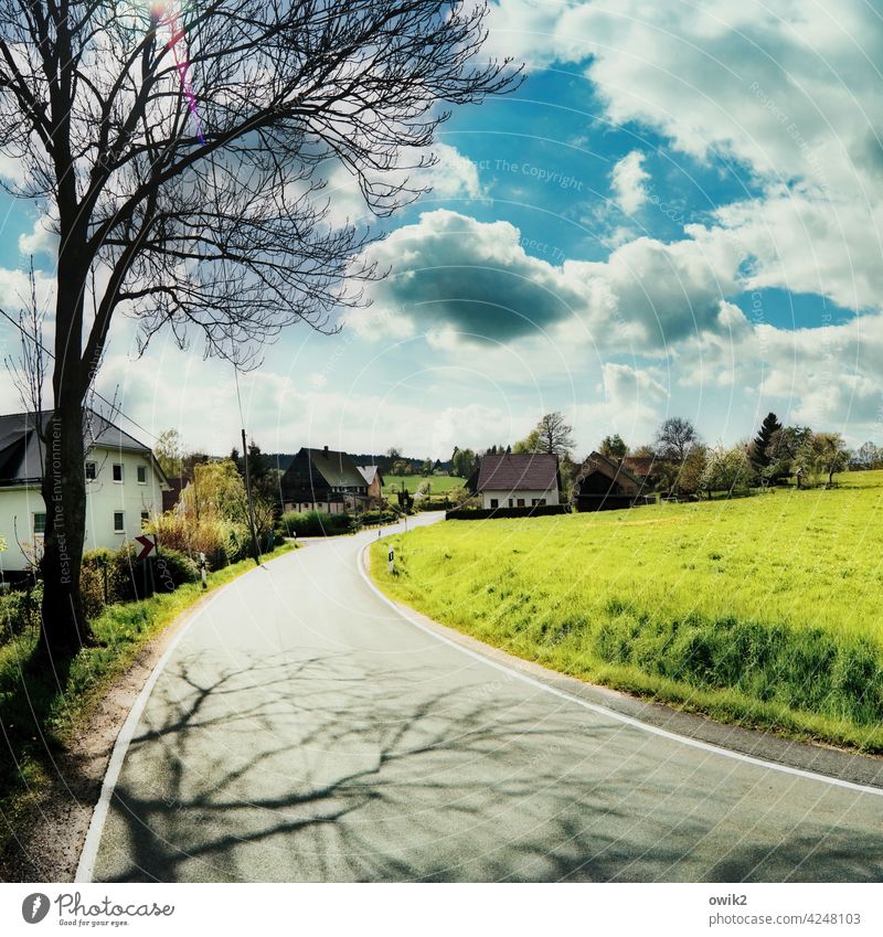 Weiler Dorf Kurve Asphalt leuchtend Häuser Dächer Lausitz Sachsen Sonnenlicht glänzend Landschaft Natur Gras Wiese Horizont Umwelt Schönes Wetter