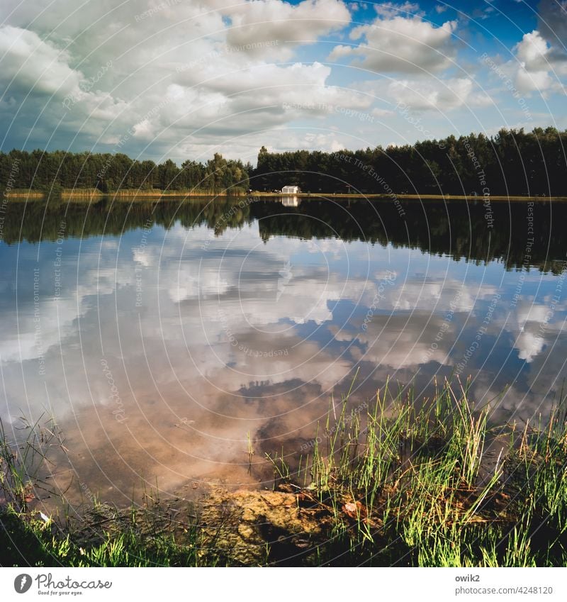 Ruhevoll Seeufer Reflexion & Spiegelung Umwelt Natur Schönes Wetter Idylle Farbfoto friedlich Außenaufnahme Menschenleer ruhig Wasser Wasseroberfläche Totale