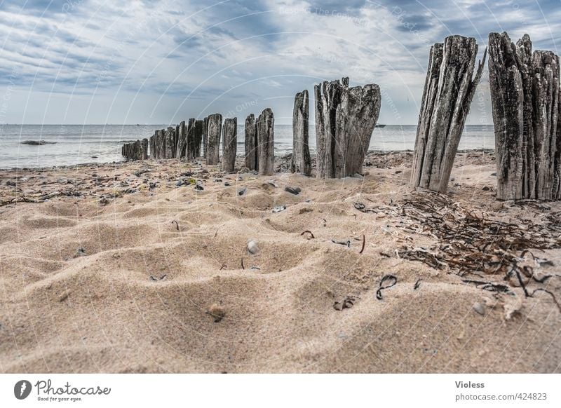 ...zahn der zeit Ferien & Urlaub & Reisen Tourismus Sommer Sommerurlaub Sonne Strand Meer Wellen Natur Landschaft Sand Wasser Himmel Wolken Schönes Wetter Küste