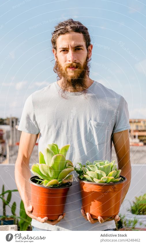 Junger männlicher Gärtner trägt eingetopfte Sukkulenten im Garten Mann Pflanze führen kultivieren Gartenbau Blumentopf üppig (Wuchs) fruchtbar Pflege Hof