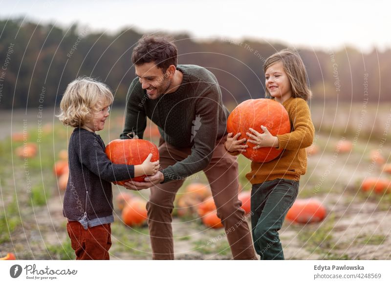 Vater und Söhne im Kürbisfeld Halloween Natur Feld Park Herbst fallen Mann Papa Familie Eltern Sohn Junge Kinder Zusammensein Zusammengehörigkeitsgefühl Liebe