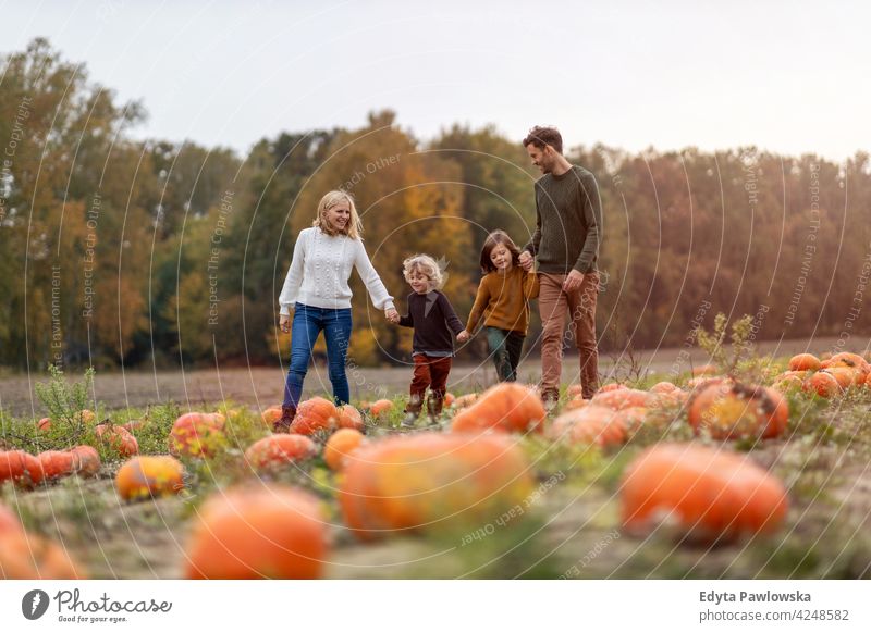 Glückliche junge Familie im Kürbisfeld Halloween Natur Feld Park Herbst fallen Mann Papa Vater Frau Mutter Eltern Verwandte Sohn Junge Kinder Partnerschaft