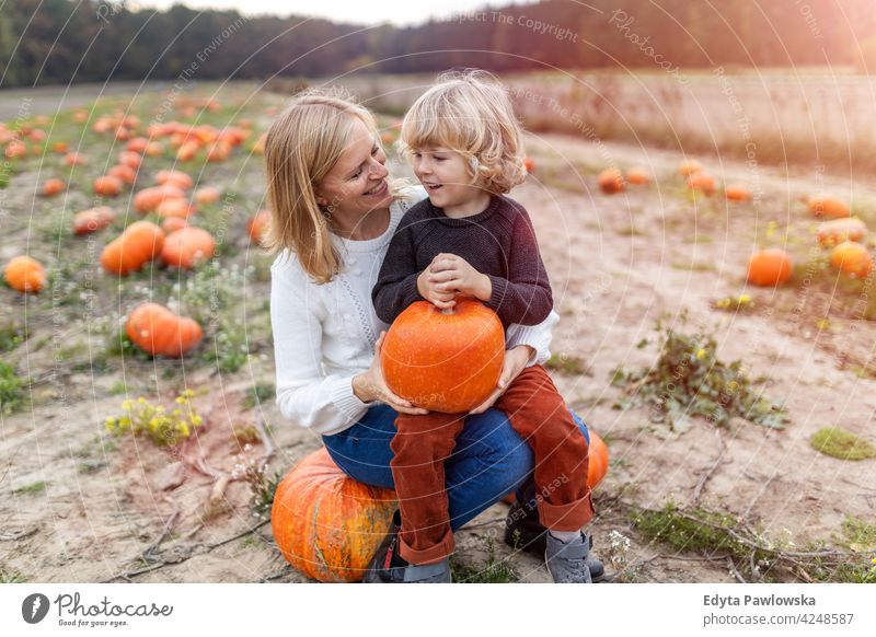 Mutter und Sohn in Kürbis Patch Feld Halloween Natur Park Herbst fallen Frau Familie Eltern Junge Kinder Partnerschaft Zusammensein Zusammengehörigkeitsgefühl