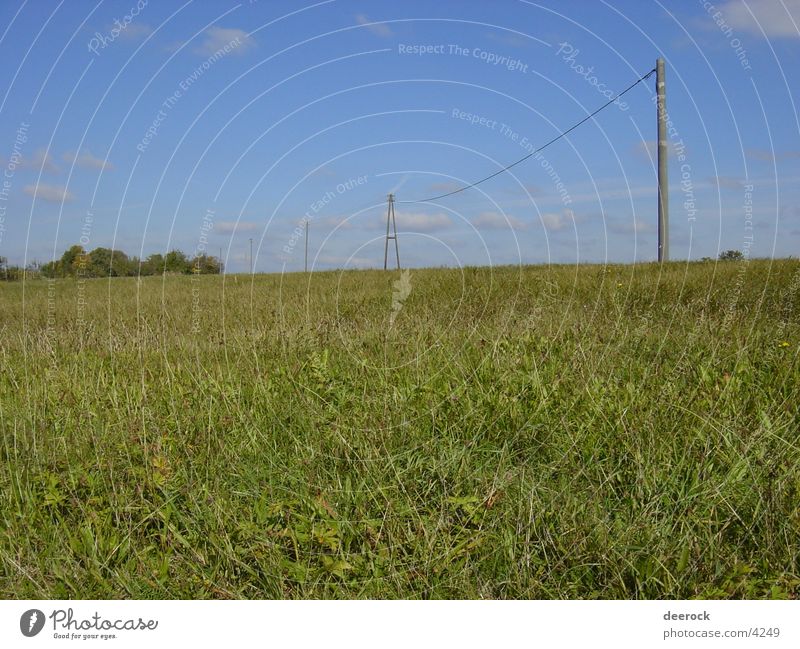 Strom? Hier? Elektrizität Wiese Himmel Kabel Ende Landschaft