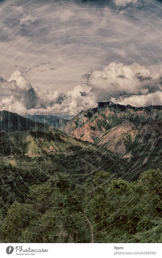 Terrassenfeld für den Reisanbau Banane Philippinen Berge u. Gebirge Natur ifugao Asien Feld Landschaft reisen Ackerbau Tal schwarz Bauernhof Vietnam