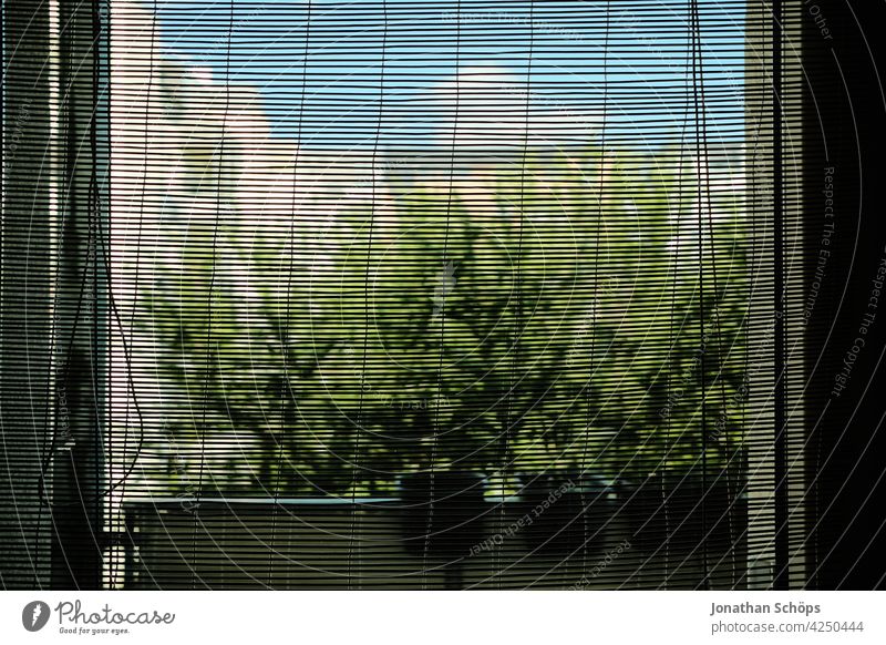 Bambus Rollo an Balkontür mit Blick nach Draußen Wohnung Wohnen Miete Mietwohnung Balkkontür Fenster Glas Bambusrollo Durchblick Ausblick grün Himmel raus Haus