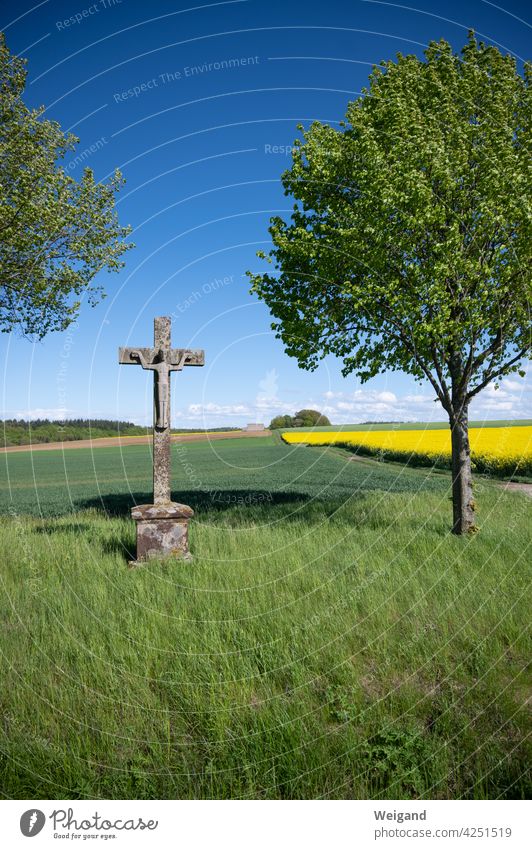 Wegkreuz auf dem Land katholisch beten Gebet Spiritualität Kreuz Pilgern Pause Landschaft Raps Frühling Kirche Christentum Jesus Meditation Wallfahrt