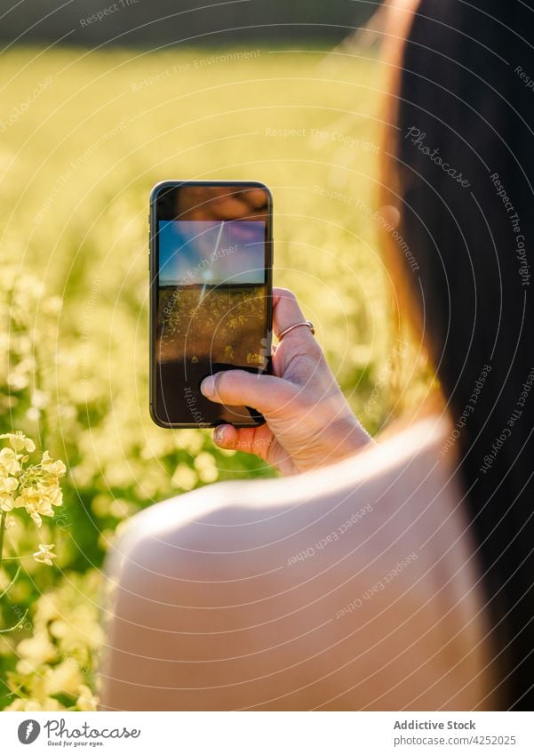 Gesichtslose Frau, die ein blühendes Feld fotografiert fotografieren Blütezeit Blume Smartphone Fotografie Wiese Moment Landschaft Mobile Gerät Lifestyle