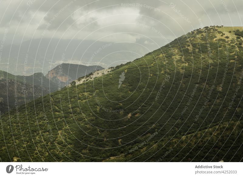 Raue, mit Nadelwald bewachsene Berghänge Berge u. Gebirge Berghang Hochland Wald Wälder nadelhaltig Kamm Natur üppig (Wuchs) Umwelt Waldgebiet Immergrün Baum