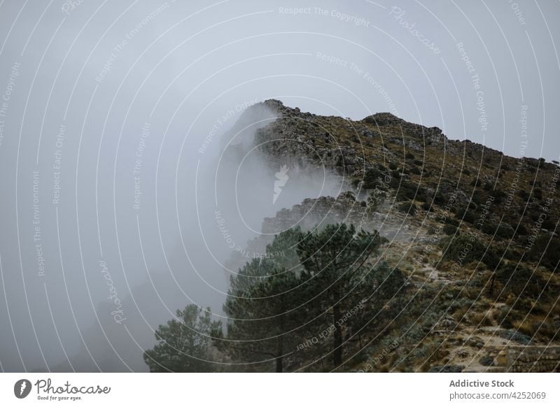 Raue, mit dichtem Nebel bedeckte Berghänge Felsen Berge u. Gebirge Formation Stein Berghang trist Dunst felsig Umwelt Gelände dramatisch Natur Wald rau wolkig