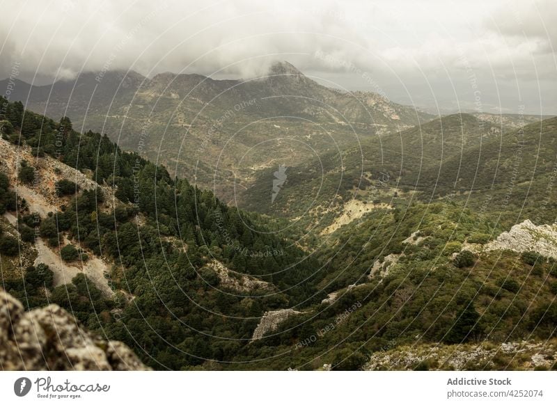 Drohnenansicht des Tals auf grünem Terrain Gelände hügelig Landschaft ländlich Hügelseite üppig (Wuchs) pflanzlich Natur Sevilla Spanien grasbewachsen malerisch