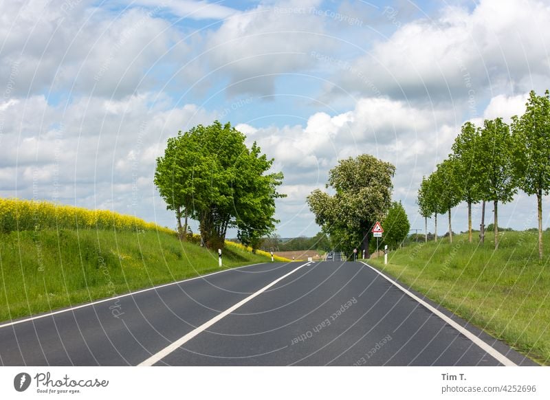 eine Landstraße in der Uckermark Brandenburg Straße Außenaufnahme Menschenleer Farbfoto Natur Tag Landschaft Baum Umwelt Wege & Pfade Verkehrswege