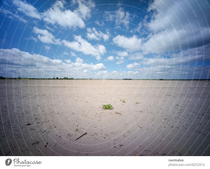 Brandenburgische Steppe erosioin trock sand trockenheit klimawandel frühling vertrocknen wind landwirtschaft