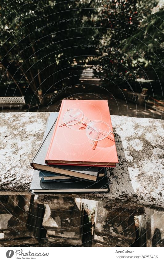 Haufen Bücher mit einer Brille darüber in einem Park mit Kopierraum Lesekonzepte Buch Bildung Person Bibliothek Literatur offen Page lesen Schule Schüler Papier