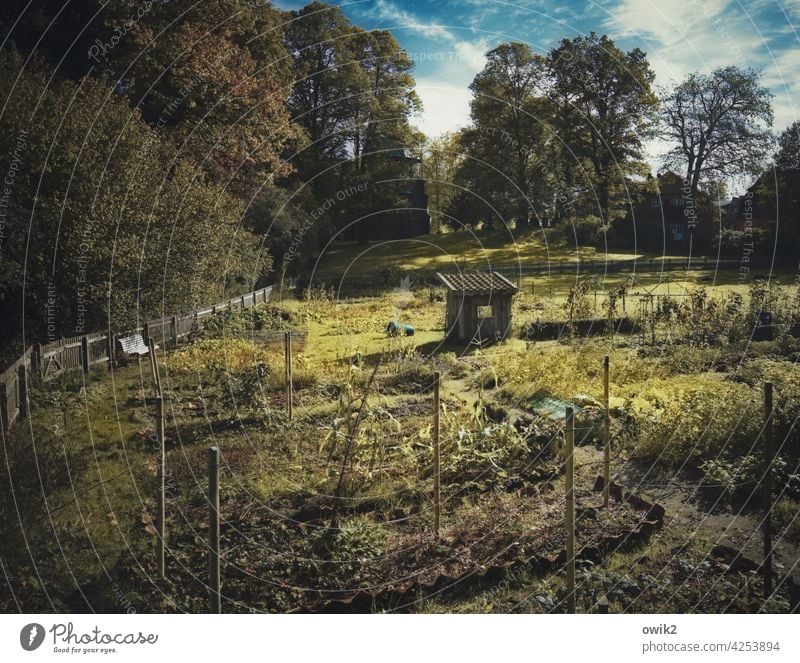 Parzelle Garten Gras Wiese Beete Wege Gartenhäuschen klein winzig Zaun umzäunt Bäume Himmel Wolken Sonnenlicht Herbst Polen Osteuropa Natur Außenaufnahme