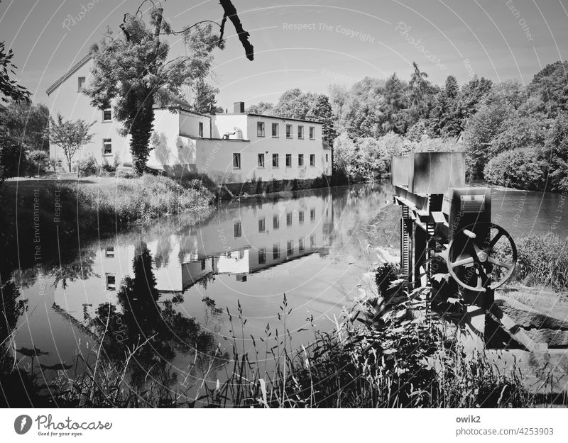 Wehrkunde Umwelt Natur Landschaft Wasser Pflanze Fluss Reflexion & Spiegelung ruhig Freiheit Ruhe Ferne Weite Stille Spiegelbild geheimnisvoll draußen