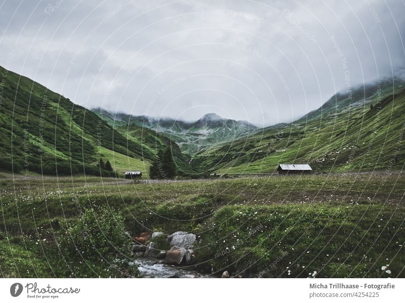 Alpenlandschaft im Nebel / Österreich Komperdell / Lazid Serfaus-Fiss-Ladis Berge Täler Holzhütten Berghütten Landschaft Natur Nebelschwaden Gras Wiese Weide