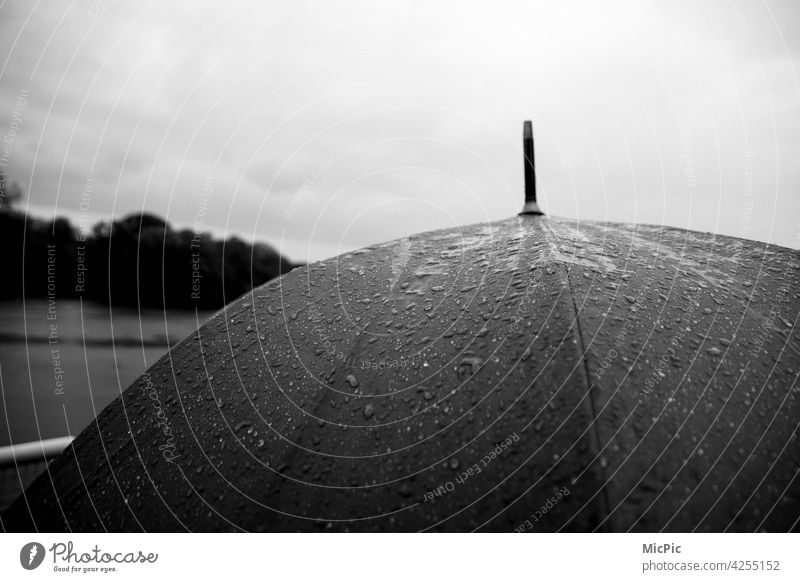 Regenschirm mit Regen schwarzweiss grau in grau Regenwetter nass schlechtes Wetter Außenaufnahme Wasser kalt Wassertropfen Menschenleer Tropfen Detailaufnahme