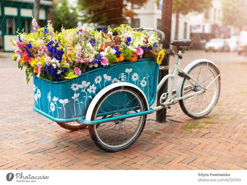 Cargo Fahrrad mit Blumen, Holland, Europa alt altehrwürdig Wand Zyklus Verkehr retro Rad Straße Transport urban Fahrradfahren Großstadt Antiquität Korb