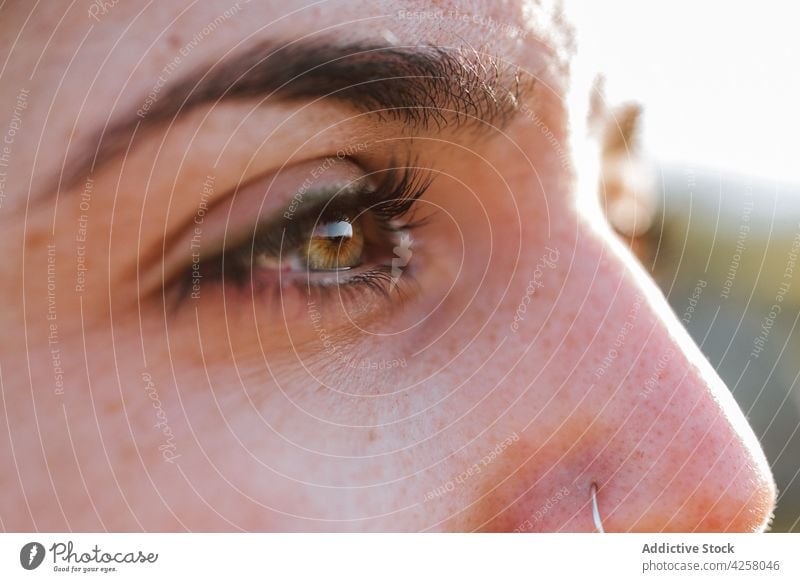 Crop weiblichen Augen stehen in sonnigen Natur Frau grüne Augen Gelassenheit Blick friedlich Gesicht Sonnenlicht natürlich sanft Sommer Windstille Tageslicht