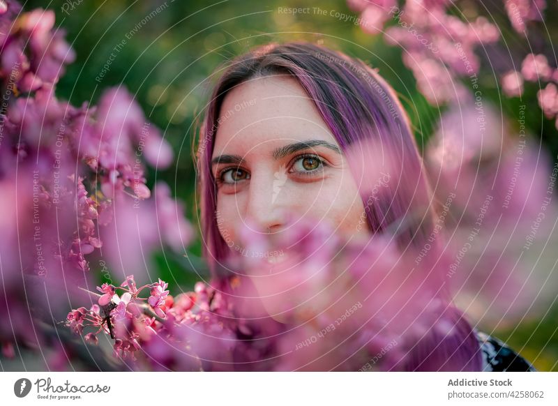 Crop Frau mit grünen Augen stehen in der Nähe blühenden Baum grüne Augen Gelassenheit Blume Natur Blick Garten friedlich Gesicht Sonnenlicht natürlich sanft