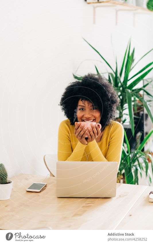 Fröhliche schwarze Frau mit Tasse Kaffee lächelnd Laptop Heißgetränk Becher abgelegen Internet Arbeit benutzend heimwärts Tisch Netbook Afro-Look Frisur