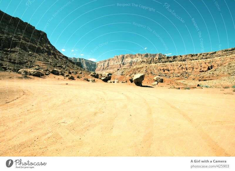 trocken & heiß Umwelt Natur Landschaft Urelemente Sand Himmel Wolkenloser Himmel Sommer Wetter Schönes Wetter Wärme Dürre Felsen Schlucht gelb beeindruckend