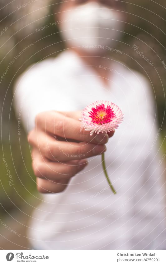 Junge Frau mit weißer Bluse und weißer FFP2 Maske überreicht ein Gänseblümchen Blümchen Bellis perennis Tausendschön Maßliebchen festhalten Hand