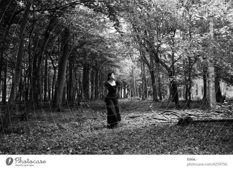 Estila wald kleid stehen beobachten bäume lichtung unterwegs frau feminin