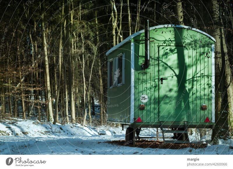 Bauwagen im Wald. Baum bauwagenszene Bäume Natur Schornstein Ofenrohr Umwelt Menschenleer Bauwaggon Waldboden Schnee Baumstamm Waldspaziergang Waldstimmung grün