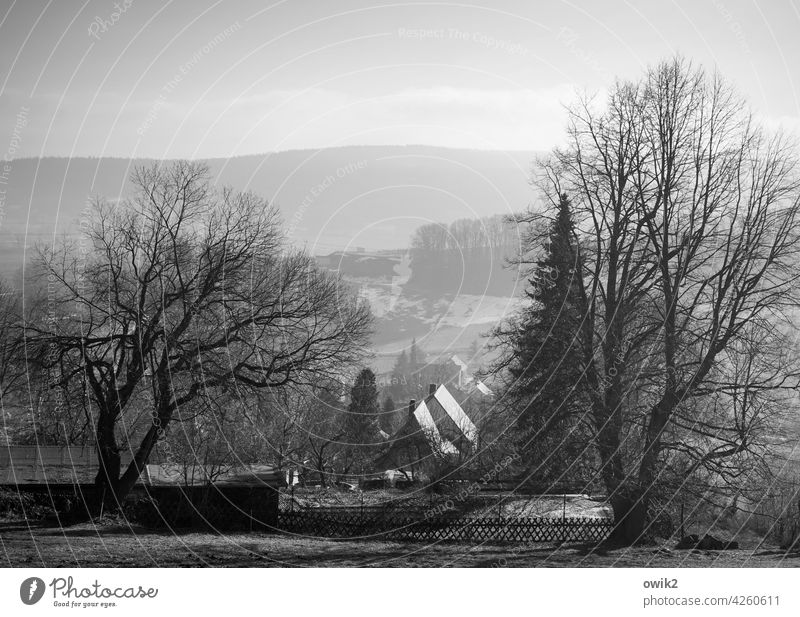 Beschaulich Lausitz Bäume Dorf friedlich glänzend Licht Kontrast Sträucher Idylle Schönes Wetter Wiese Berge u. Gebirge Landschaft Horizont Aussicht Totale Tag