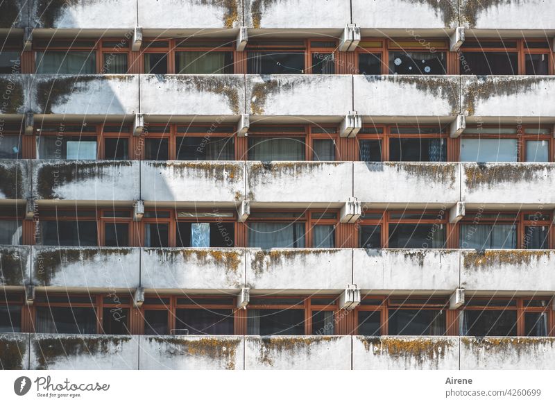 my Schuhschachtel is my castle Fassade Beton hässlich alt Balkon Betonwand trist urban Überleben Ordnung Langeweile Stadt einfach Mehrfamilienhaus Plattenbau