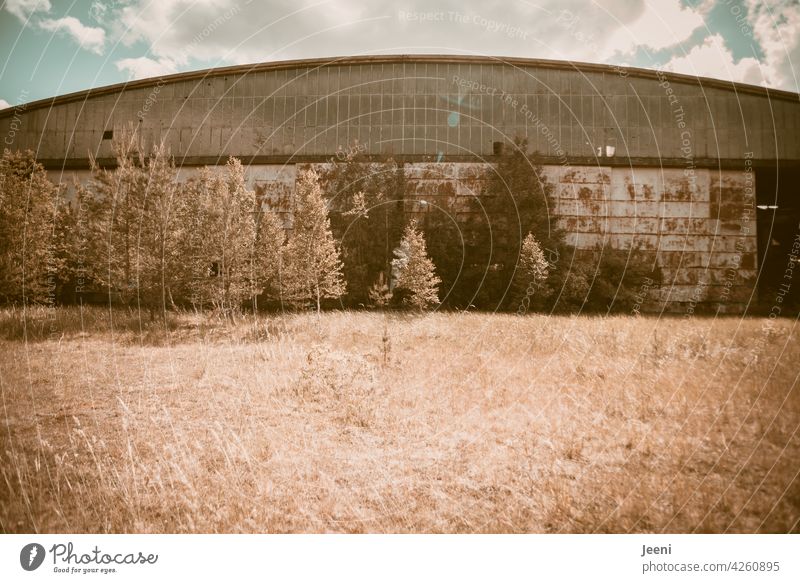 Ein Stück Vergangenheit | Alter Hangar Flugzeug alt Flugplatz Luftverkehr fliegen lost places lostplace verlassen Nationalsozialismus Russland kaputt Verfall