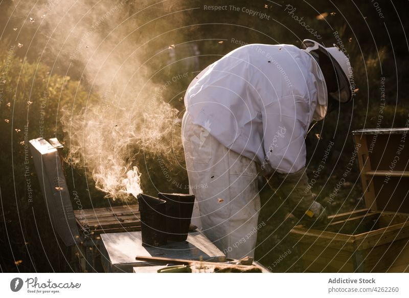 Imker, der im Bienenstock arbeitet. Mann Bienenkorb Wabe männlich Bienenzucht Arbeit Tracht Insekt behüten Anzug professionell Natur Bauernhof natürlich