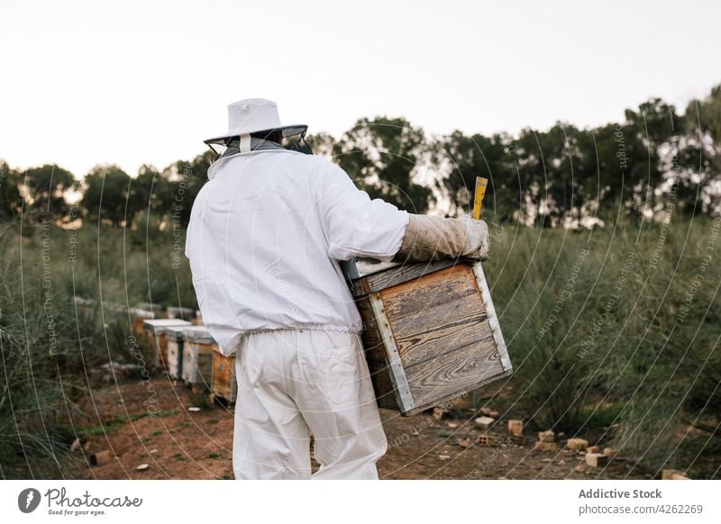 Imker mit Bienenstock im Bienenhaus Arbeit Kasten Kiste Bienenkorb führen Werkzeug professionell Saison Job Beruf Liebling Wabe Bauernhof Bienenzucht Gerät