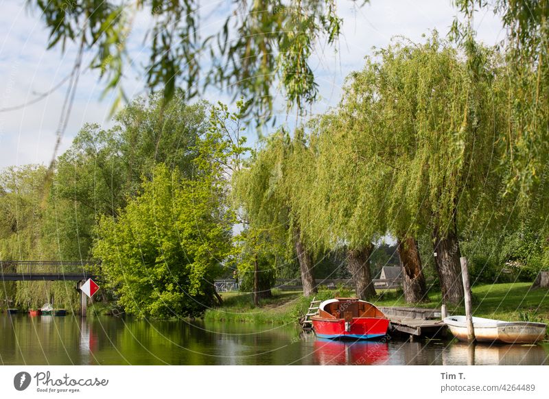 Spreewald spreeparadis Außenaufnahme Boot Bootsfahrt Natur Fluss Baum Landschaft Wasser Farbfoto Umwelt Menschenleer Flussufer Reflexion & Spiegelung