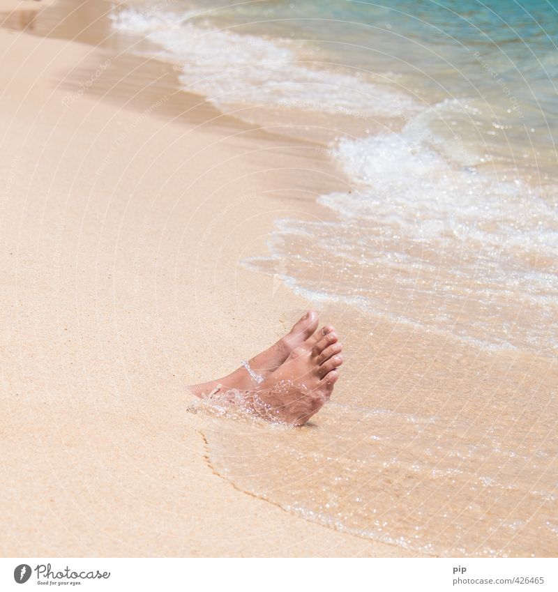 strandgut Mensch Fuß Zehen Natur Sand Wasser Sommer Schönes Wetter Wellen Küste Strand Meer exotisch lustig bizarr Ferien & Urlaub & Reisen Freizeit & Hobby