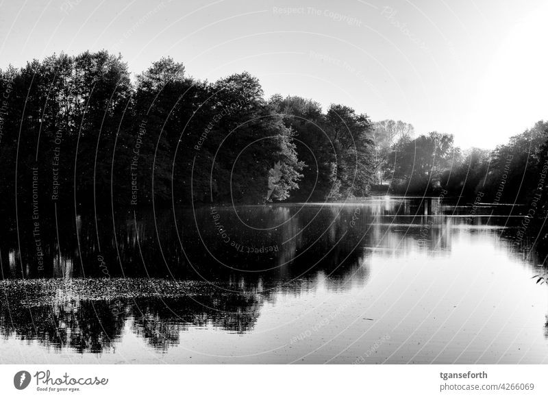 Sonnenuntergang an einem alten Ems Arm Emsland Abend Schwarzweißfoto Reflektion Reflexion & Spiegelung Landschaft Norddeutschland Lichteinfall Lichtschein