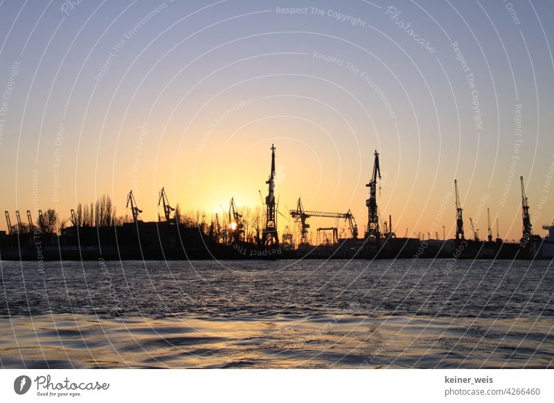 Frachtkräne im Containerhafen Hamburg im Sonnenuntergang frachtkran Cargo Logistik Frachthafen silhouetten Wasser Elber Binnenhafen Hafen Welthandel Kräne viele