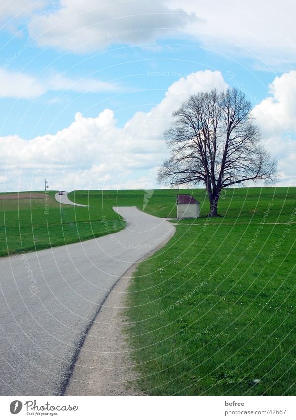 road to nowhere Baum strasse ohne ende Blauer Himmel Natur die strasse ind nirgendwo