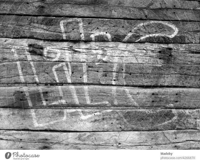 Graffiti mit Großbuchstaben auf einem morbiden Holzzaun am alten Binnenhafen in Offenbach am Main in Hessen, fotografiert in klassischem Schwarzweiß Schrift