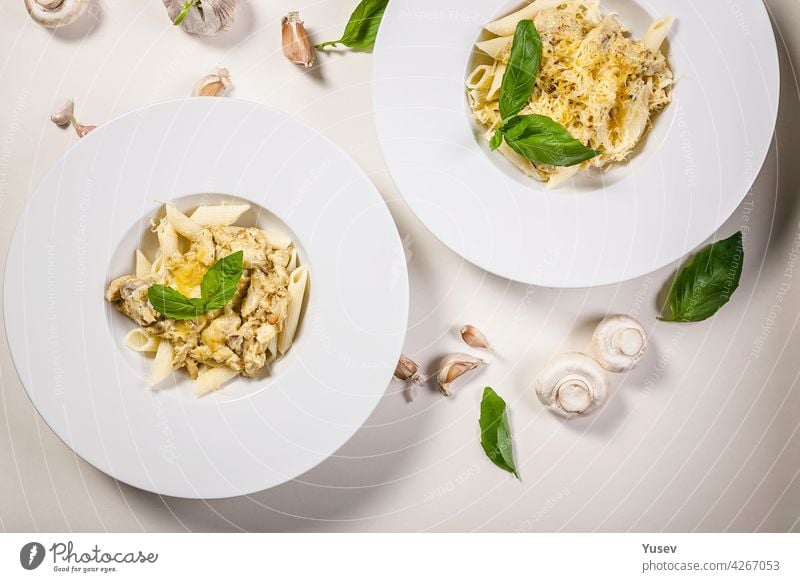 Appetitliche Penne-Nudeln mit Champignons, Käse-Parmesan-Sahnesauce und frischem Basilikum. Traditionelle mediterrane Küche. Zwei Portionen auf hellem Hintergrund. Ansicht von oben. Platz zum Kopieren