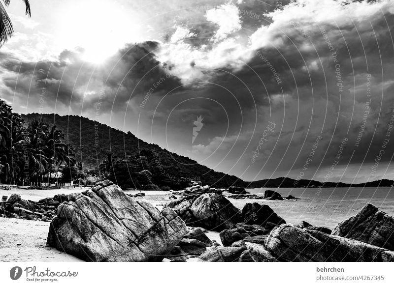 immer wieder | schwarzweiß Paradies Unwetter Regenwolken Ferne Natur Landschaft Himmel Ferien & Urlaub & Reisen Wolken Sonne Palme Urwald Felsen