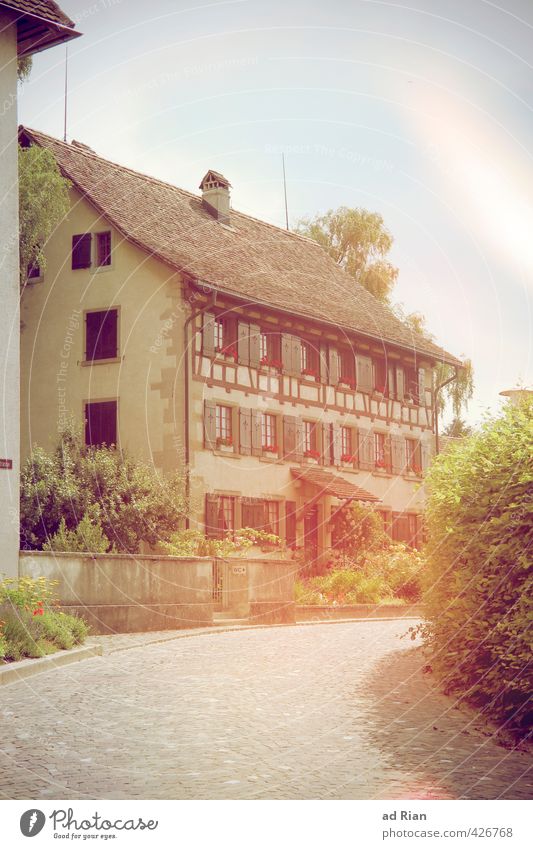 Seltsames Licht Umwelt Himmel Wolkenloser Himmel Sommer Schönes Wetter Sträucher Stadt Stadtzentrum Altstadt Menschenleer Haus Traumhaus Bauwerk Gebäude